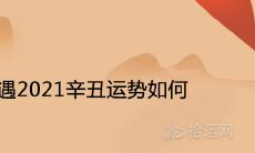 戊土遇2021辛丑运势如何