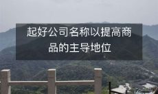 起好公司名称以提高商品的主导地位