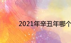 2021年辛丑年哪个日柱会好运