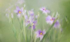 四大血型男生花心程度排行榜