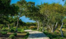 2021年11月事业运势最好的四个星座