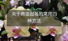 关于商店起名的常用四种方法