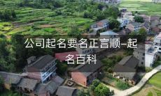 公司起名要名正言顺-起名百科