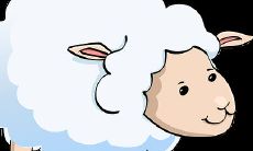 金蟾摆放的朝向和位置有哪些讲究