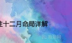 庚辰日柱十二月命局详解