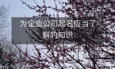 为企业公司起名应当了解的知识