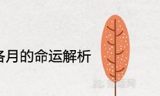 甲寅日柱生于各月的命运解析