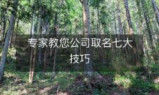 专家教您公司取名七大技巧