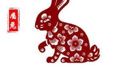 1975年属兔人2020年运势运程