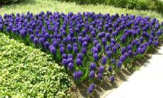 葛定荣姓名评分94分