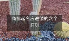 商标起名应遵循的六个原则