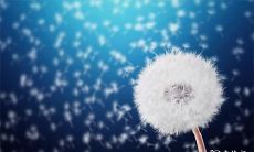 91年9月18日是什么命 农历八月十一出命运