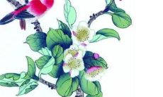 2023年3月18日出生的女宝宝命运好吗，男孩八字命运查询