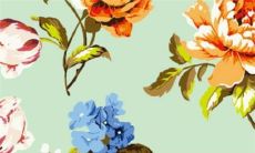 赶上节气出生的人好吗 春分那天出生的人命好吗