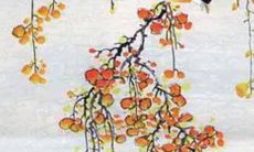 生辰八字解析：2023年3月14日出生的宝宝是什么命，五行缺什么