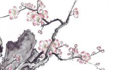 2023年3月13日出生的女宝宝命运好吗，属兔男孩八字命运查询