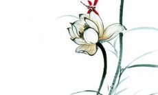 2023年3月11日出生的女孩命好吗，男宝宝八字命格