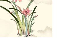 2023年3月10日出生的女宝宝命运怎么样，属兔男孩八字五行命运