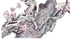 2023年3月14日出生的女孩命运如何，男宝宝五行缺什么