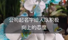 公司起名字给人以积极向上的态度
