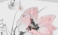 八字解析：2023年3月11日出生的宝宝是什么命，五行缺什么