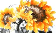 八字解析：2023年3月13日出生的宝宝是什么命，五行缺什么