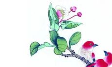 2023年3月16日出生的女孩命好吗，属兔男孩八字命格