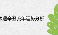 乙木遇辛丑流年运势分析详解