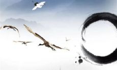 2023年3月12日出生的属兔女孩是什么命，男孩八字命运分析