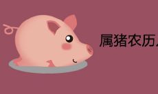 属猪农历几日出生富贵命 有福气的出生吉日