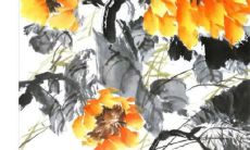 生辰八字解析：2023年3月16日出生的宝宝是什么命，五行缺什么