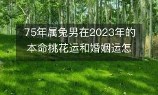 75年属兔男在2023年的本命桃花运和婚姻运怎么样
