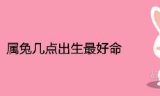 属兔几点出生最好命 上等出生时辰