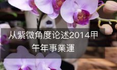 从紫微角度论述2014甲午年事業運