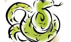 属蛇的人2020年6月运势及运程如何