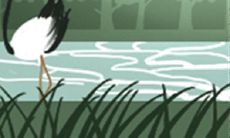 趣味测试：密集恐惧症测试图