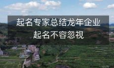 起名专家总结龙年企业起名不容忽视
