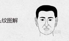 男人额头纹图解