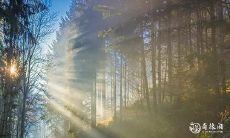 癸水生于巳月 癸水最好的贵人