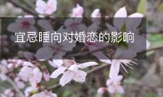 宜忌睡向对婚恋的影响