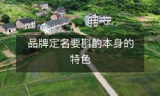 品牌定名要斟酌本身的特色