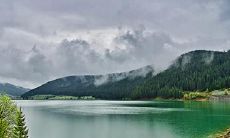 91年2月18日是什么命 农历正月初四出生命运