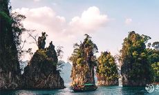 91年2月19日是什么命 农历正月初五出生命运