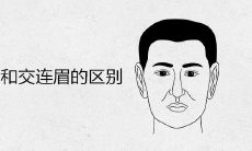 连心眉和交连眉的区别 男人有这种眉形好不好