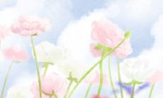 看你成为房奴的概率有多大？