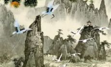 属兔最难熬的是哪一年 生肖兔命中有两大贵人