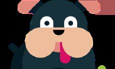 金蟾蜍如何使用有什么禁忌