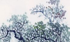 82年属狗未来5年运势 2024年运势达到顶峰