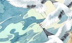 12生肖运势小报2023年4月30日特吉生肖运程详情