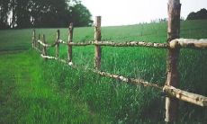 什么星座性格倔强不服输